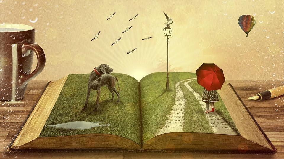 Personal Reading Experience: 5 Best Book for 12-year-olds