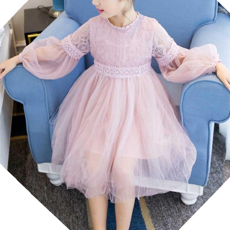 Toddler Girl Lace Princess Dress Children's Clothing - PrettyKid