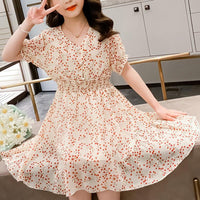 Girl Plum Blossom Print Chiffon Princess Dress - PrettyKid