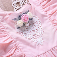 Toddler Kids girl flower pink princess dress lace lace dress - PrettyKid