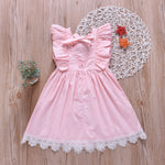 Toddler Kids girl flower pink princess dress lace lace dress - PrettyKid