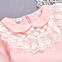 Toddler Kids girl flower pink princess dress lace lace dress - PrettyKid