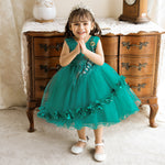 6months-3years Baby Dresses Children's Dresses Princess Dresses Girls Fluffy Yarns Baby Birthday Dress - PrettyKid