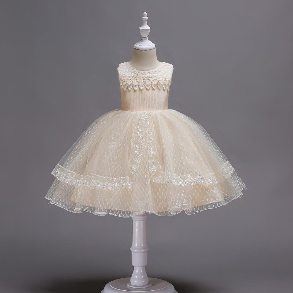 Beautiful Girl Embroidered Princess Lace Dress - PrettyKid