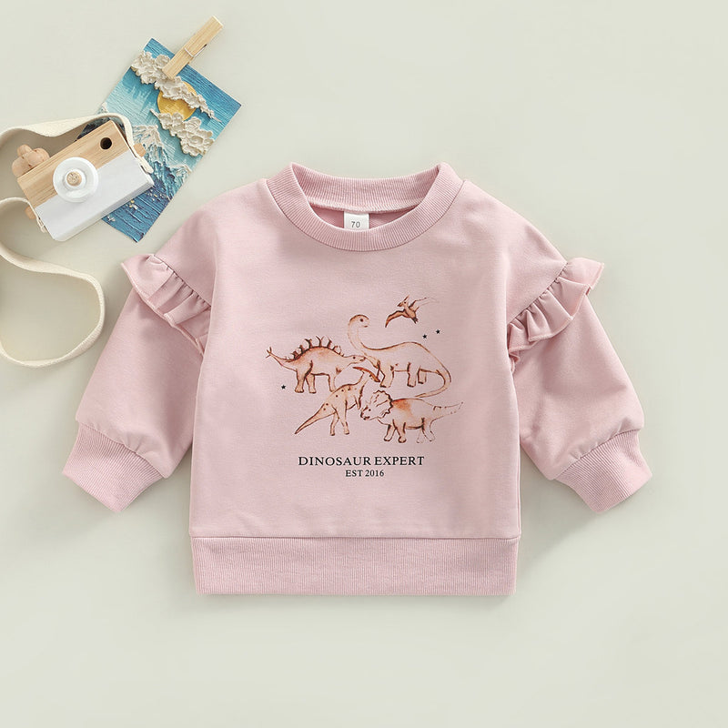 Wholesale Baby Round Collar Cute Dinosaur Printing Pullover sweater in Bulk - PrettyKid
