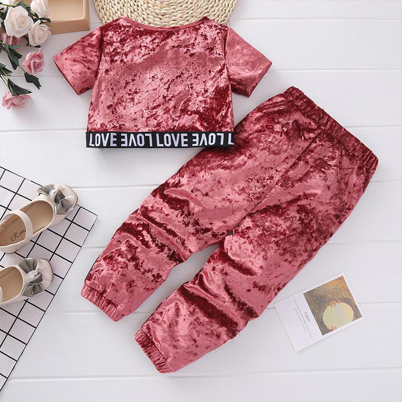 2-piece Velvet Suit for Toddler Girl Wholesale Children's Clothing - PrettyKid