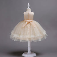 Beautiful Girl Embroidered Princess Lace Dress - PrettyKid