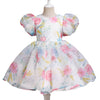 2-7Y Toddler Girls Flower Print Puff Sleeve Party Dresses Wholesale Little Girl Clothing - PrettyKid