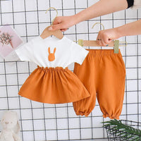 2-piece Rabbit Pattern T-shirt & Pants for Toddler Girl - PrettyKid