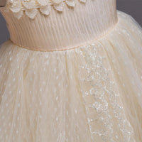 Beautiful Girl Embroidered Princess Lace Dress - PrettyKid