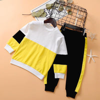 Toddler Kids Boys Multicolor Patchwork Round Neck Long Sleeve Suit - PrettyKid