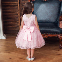 Little Girl Dress Princess Dress Tutu Skirt Flower Girl Wedding Dress - PrettyKid