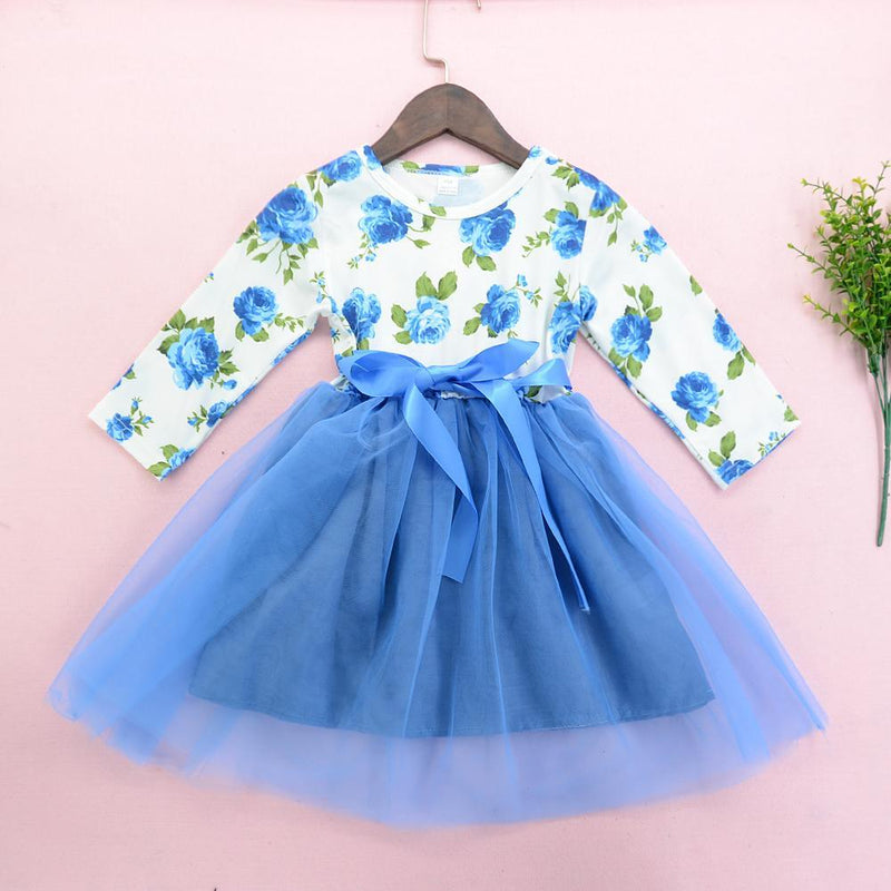 Girl's Blue Mesh Long Sleeve Round Neck Dress Print Princess Dress - PrettyKid