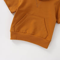 2 Pieces Set Baby Kid Unisex Solid Color Hoodies Sweatshirts And Pants