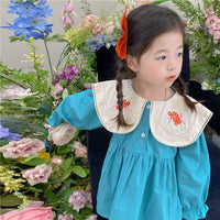 Baby Kid Girls Color-blocking Flower Embroidered Dresses