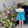 Baby Kid Girls Color-blocking Flower Embroidered Dresses