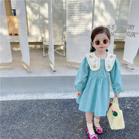 Baby Kid Girls Flower Embroidered Dresses