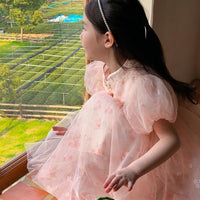 Baby Kid Girls Flower Dresses