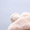 Baby Boys Girls Cartoon Animal Embroidered Thickened Lamb Wool Hoodie - PrettyKid