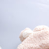 Baby Boys Girls Cartoon Animal Embroidered Thickened Lamb Wool Hoodie - PrettyKid