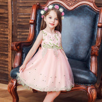 Girls Party Wedding Dress Princess Dress Embroidered Sleeveless Dress - PrettyKid