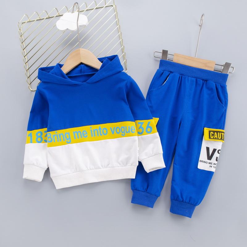 2-piece Color-block Hoodie & Pants for Toddler Boy Wholesale Children's Clothing - PrettyKid