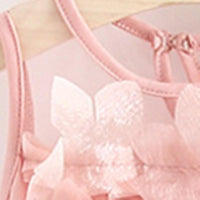 Mesh Dress for Girl - PrettyKid