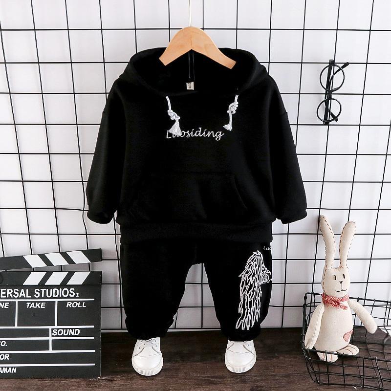 2-piece Wings Pattern Hoodie & Pants for Children Boy - PrettyKid