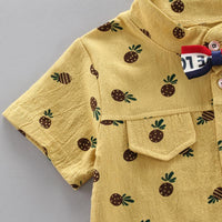 2-Piece Toddler Boy Pineapple Pattern Short-Sleeve Shirt &amp; Shorts Wholesale Children's Clothing - PrettyKid