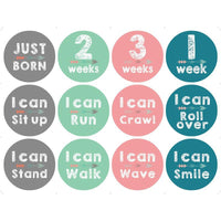 MOQ 5PCS Baby Growth Memorial Month Sticker - PrettyKid