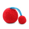 Wholesale Vision Training Ball Toys Learning Educational Toys in Bulk - PrettyKid