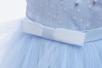 Long Section Children's Dress Princess Dress Girls Dress Tutu Skirt - PrettyKid