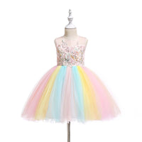 Beautiful Embroidered Flower Rainbow Tulle Sleeveless Party Dress - PrettyKid