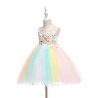 Beautiful Embroidered Flower Rainbow Tulle Sleeveless Party Dress - PrettyKid