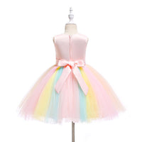 Beautiful Embroidered Flower Rainbow Tulle Sleeveless Party Dress - PrettyKid