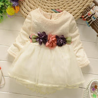 Princess Dress for Toddler Girl - PrettyKid