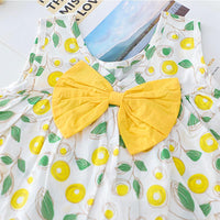 2-piece Floral Printed Dress & Shorts for Toddler Girl - PrettyKid