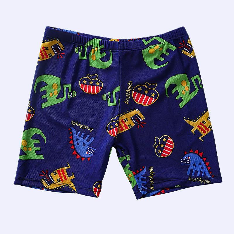 Kid Boy Dinosaur Patten Color-block Swimsuits & Swimming Cap 3 Pic - PrettyKid