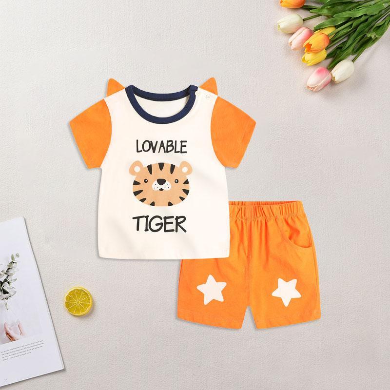 Toddler Boy Tiger Pattern T-shirt & Star Pattern Shorts Wholesale Children's Clothing - PrettyKid