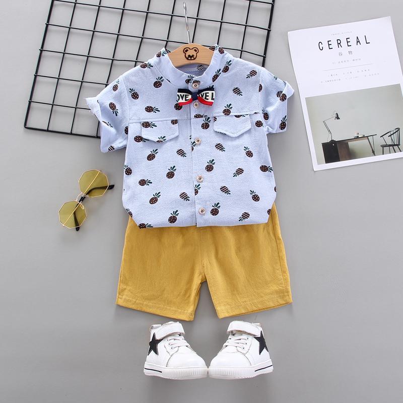 2-Piece Toddler Boy Pineapple Pattern Short-Sleeve Shirt &amp; Shorts Wholesale Children's Clothing - PrettyKid