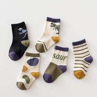 5-piece Boys Knee-High Stockings - PrettyKid