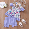 0-18M Baby Girls Sets Floral Flutter Sleeve Smocked Tops & Shorts & Headband Wholesale Baby Clothes - PrettyKid