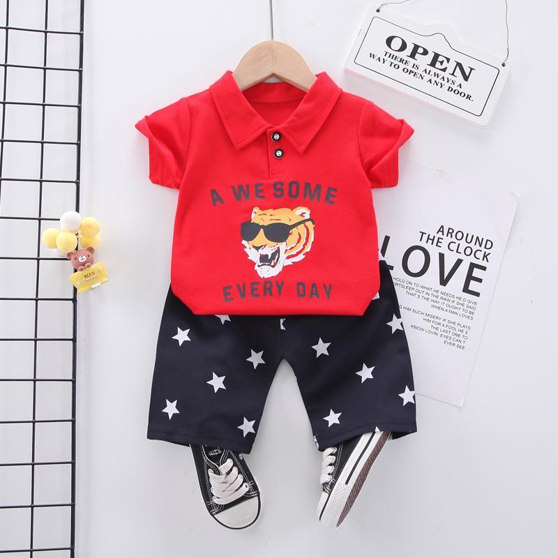 Toddler Boy Dog Pattern T-shirt & Star Pattern Shorts Wholesale Children's Clothing - PrettyKid