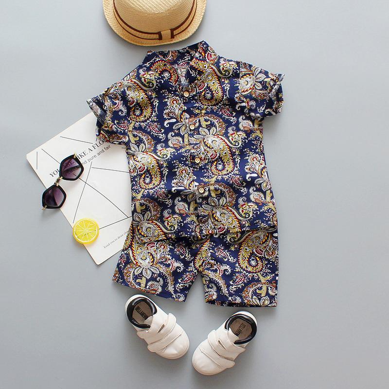 2-piece Floral Printed T-shirt & Shorts for Toddler Boy Wholesale children's clothing - PrettyKid