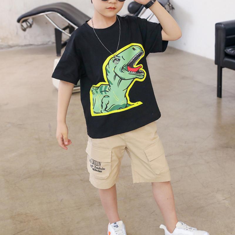 Boy Dinosaur Pattern T-shirt & Knee Length Pants - PrettyKid