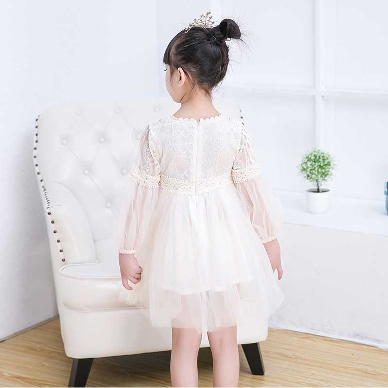 Toddler Girl Lace Princess Dress Children's Clothing - PrettyKid