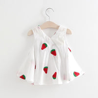 Baby Girls Embroidered Flower Watermelon Suspender Skirt - PrettyKid