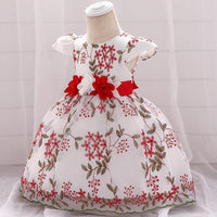 Baby Girl 3D Flower Decor Embroidered Floral Print Mesh Formal Dress - PrettyKid