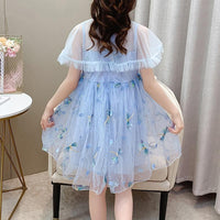 Girl Embroidery Dragonfly Mesh Princess Dress - PrettyKid