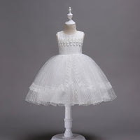 Beautiful Girl Embroidered Princess Lace Dress - PrettyKid